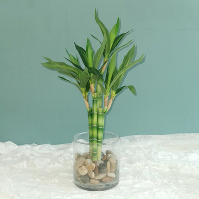 New 40cm rFtificial Lucky Bamb - مراجعة Desk Setup At Home وسعره