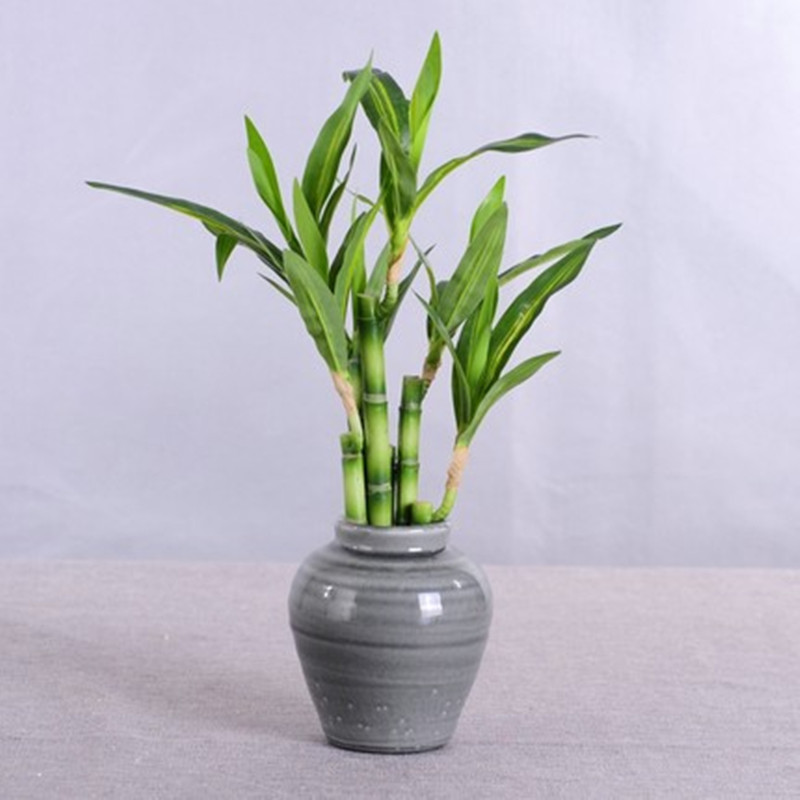 New 40cm rFtificial Lucky Bamb - مراجعة Desk Setup At Home وسعره