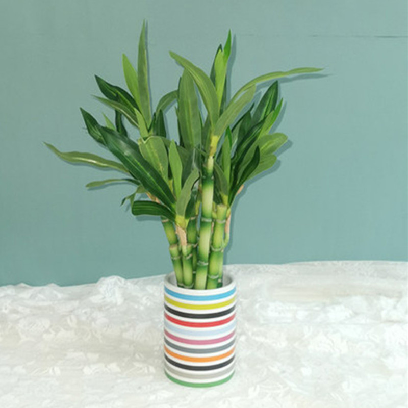 New 40cm rFtificial Lucky Bamb - مراجعة Desk Setup At Home وسعره